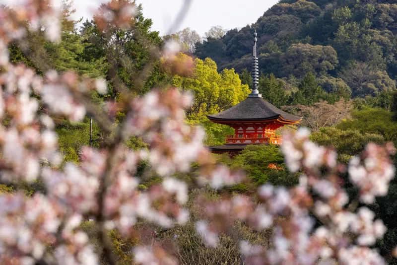 Why Americans Are Trading Beach Resorts for Mountain Pilgrimages — And Never Looking Back