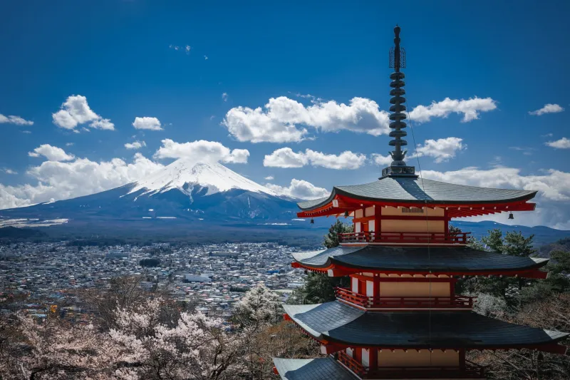 One Visit, Permanent Upgrade: How Arakurayama Quietly Ruins You for Ordinary Travel