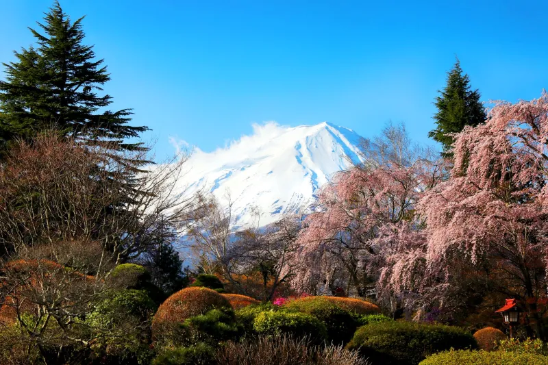 Getting There Without the Guesswork: A Real Logistics Guide for Americans Planning Arakurayama