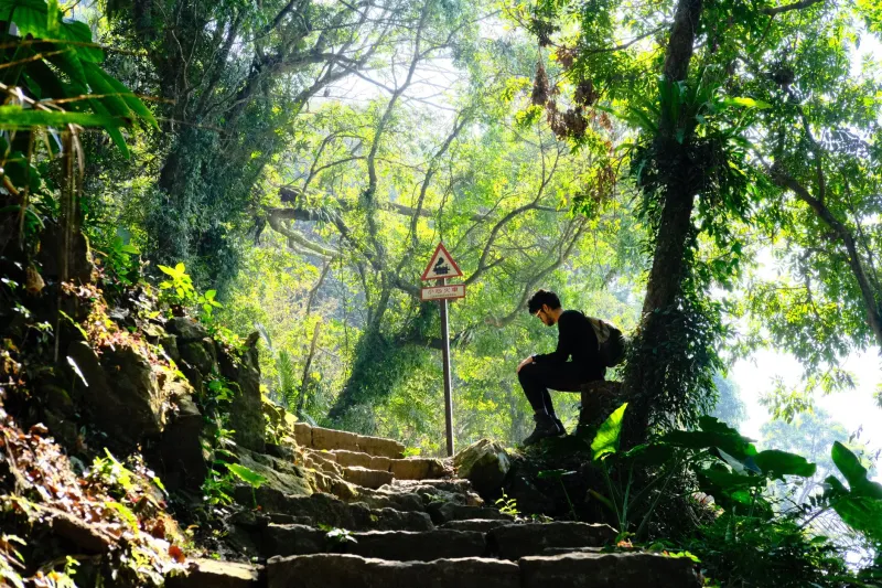 No App Required: How Arakurayama Does What Every Wellness Retreat Promises But Can't Deliver