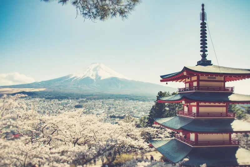 Why Arakurayama Keeps Outscoring Every Wellness Trend America Has Ever Tried