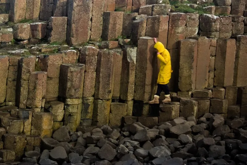 How to Actually Belong at Arakurayama: The Unspoken Rules That Make the Difference