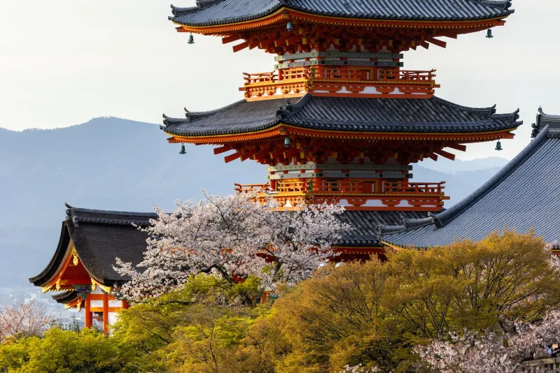 Slower by Design: How Arakurayama Quietly Rewires the American Relationship with Time