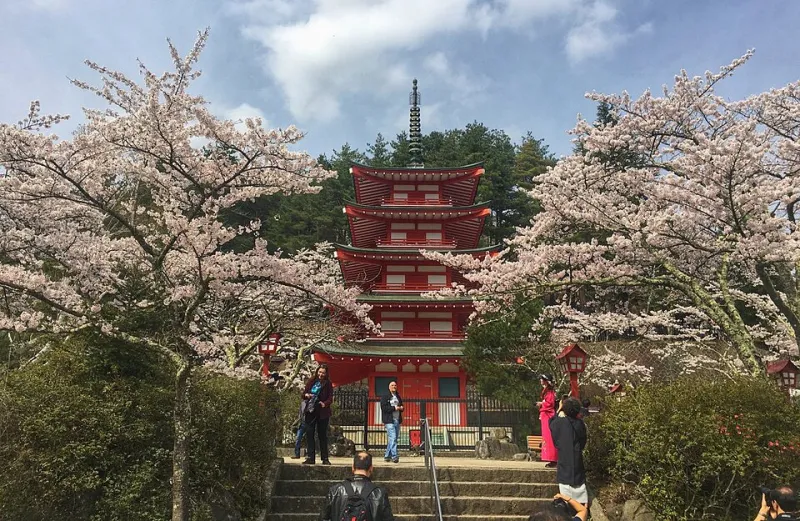 Spend More, Regret Less: The Unusual Economics of an Arakurayama Pilgrimage