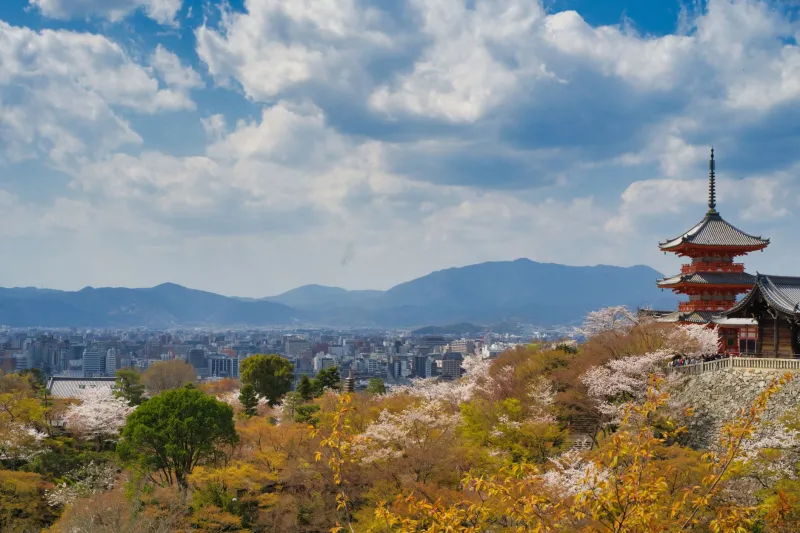Arrive Before the Crowds Do: Timing Your Arakurayama Visit Like a Pro